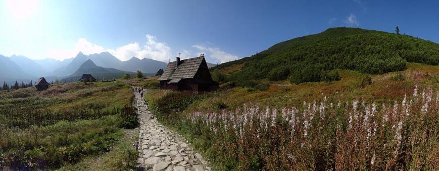 Apartament 2 pokojowy północny 2 łazienki plus aneks kuchenny Zakopane Exterior foto