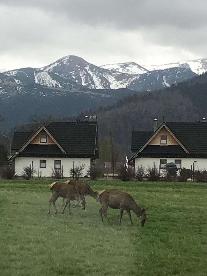 Apartament 2 pokojowy północny 2 łazienki plus aneks kuchenny Zakopane Exterior foto