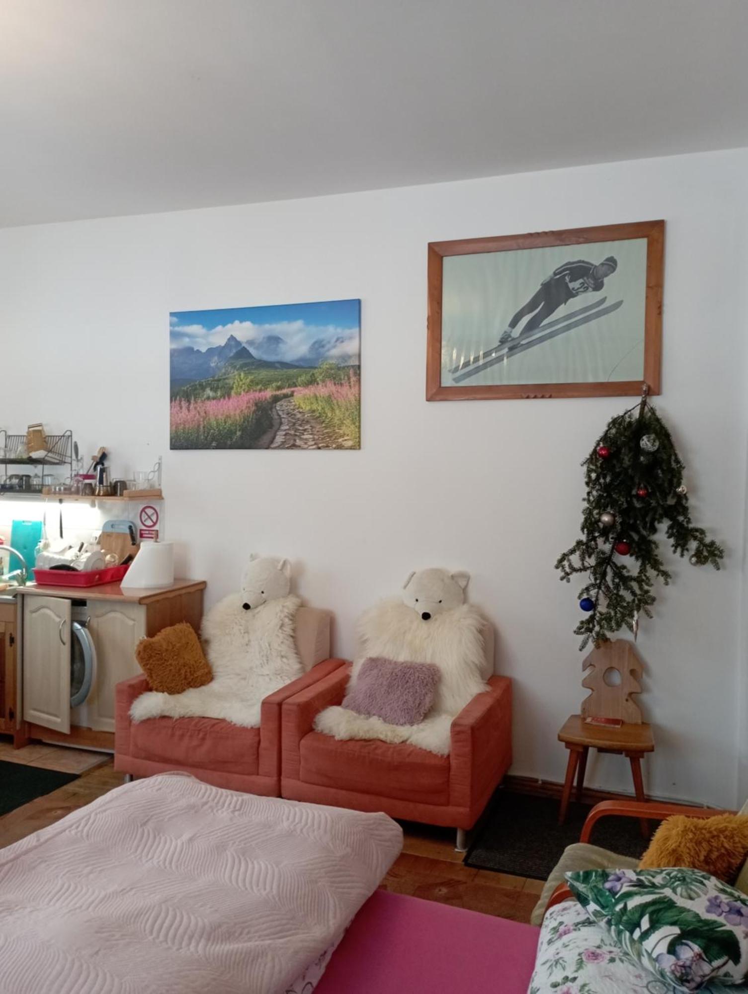 Apartament 2 pokojowy północny 2 łazienki plus aneks kuchenny Zakopane Exterior foto