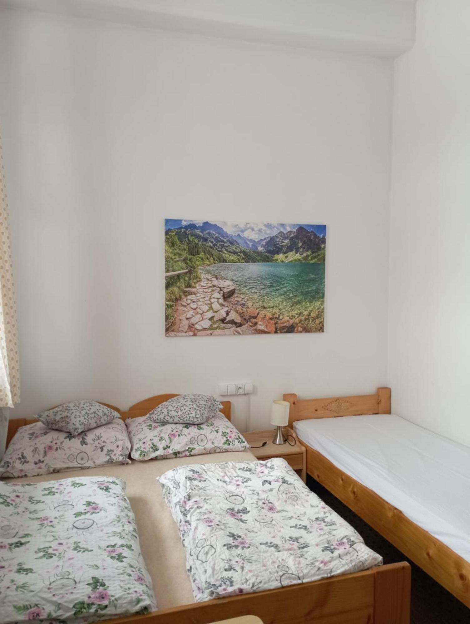 Apartament 2 pokojowy północny 2 łazienki plus aneks kuchenny Zakopane Habitación foto