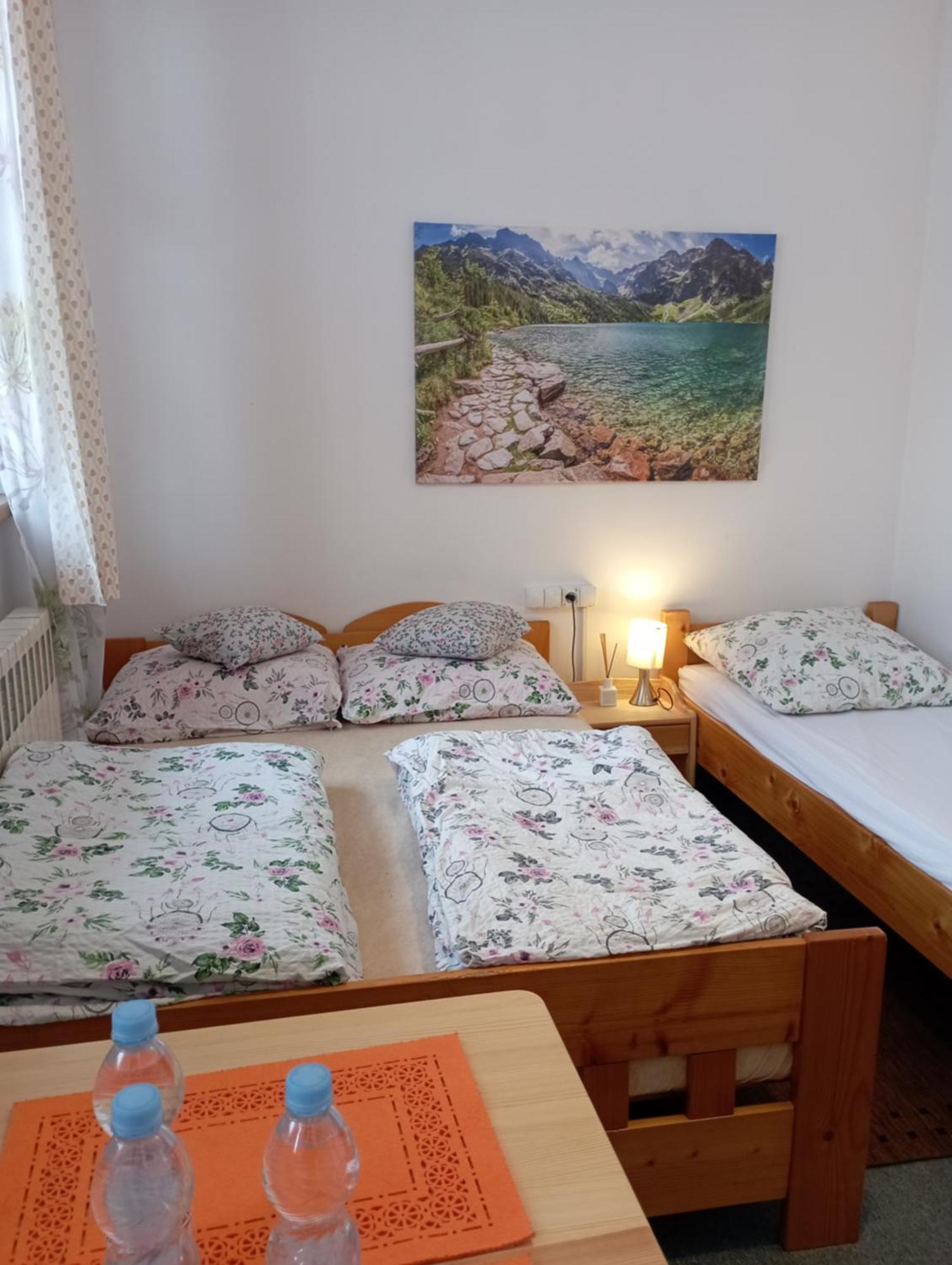 Apartament 2 pokojowy północny 2 łazienki plus aneks kuchenny Zakopane Habitación foto